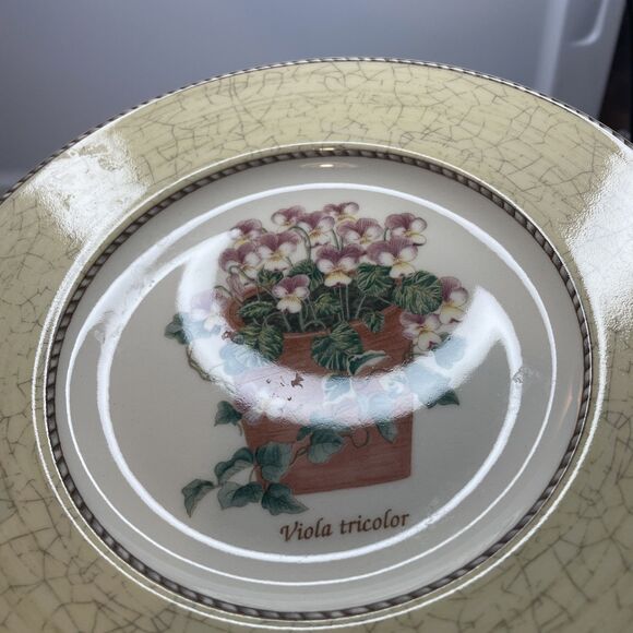 Set of 4 Wedgwood Sarah's Garden Salad Plates - One of Each Color 8 1/4” - Picture 12 of 14